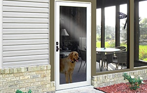 Feldco Storm Doors