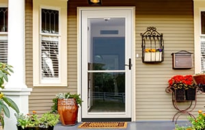 Feldco Spectrum Storm Door