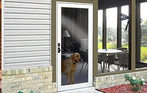 Feldco Duraguard Storm door